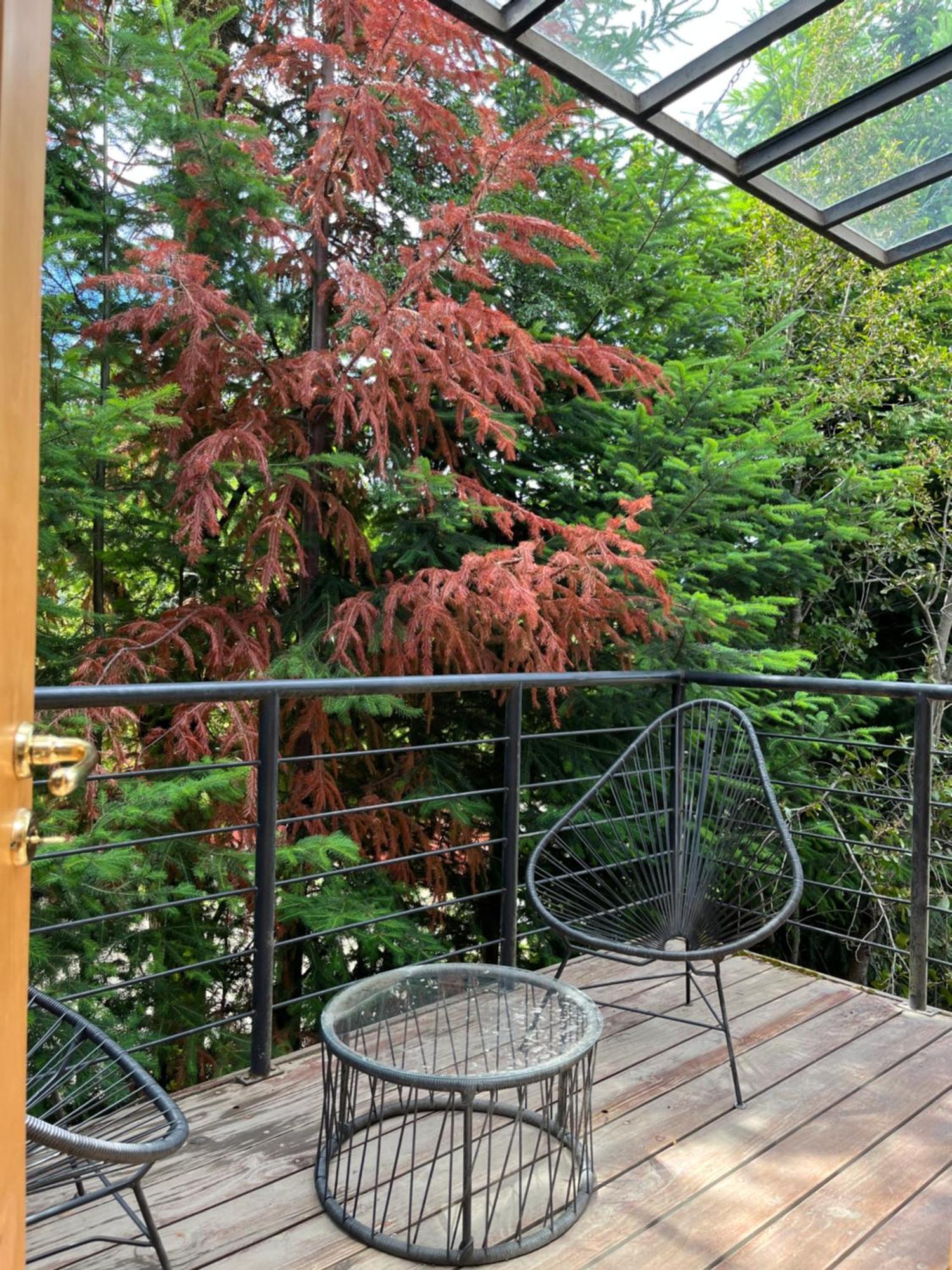 Вілла Balcones Del Sayhueque Вілья-Ла-Ангостура Екстер'єр фото